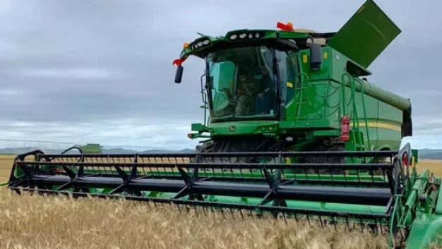 Harvester Drive Belts